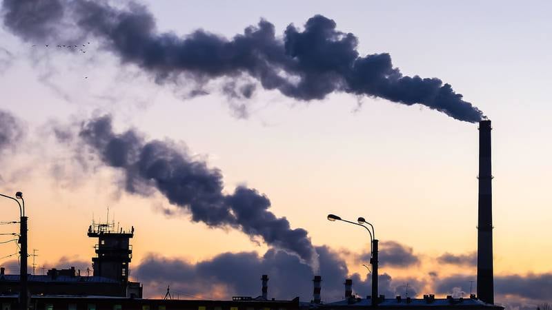 ‘Carbon Neutral’ Claims That Rely on Offsets Face UK Ban