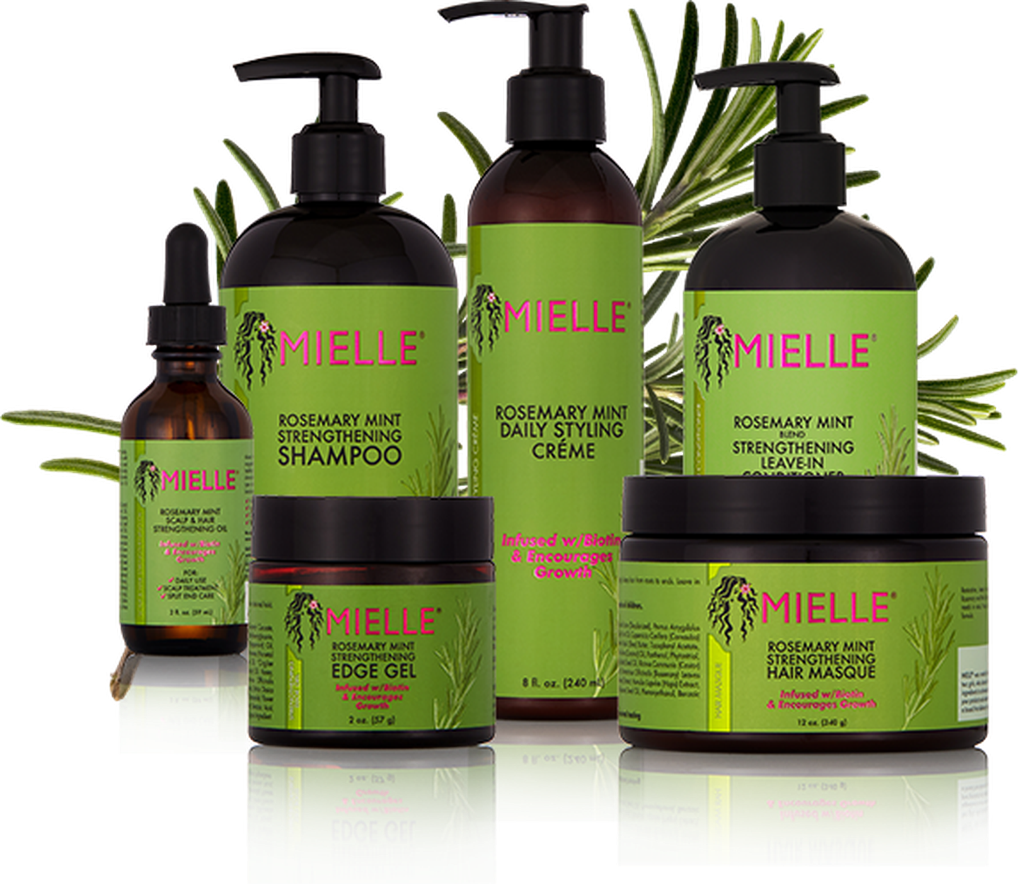 The rosemary mint line from Mielle Organics.