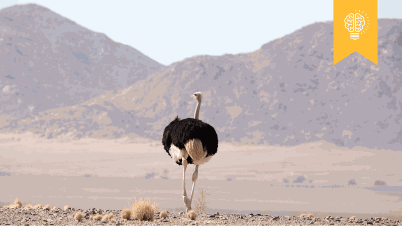 Digital China Leaving Ostrich Brands Behind