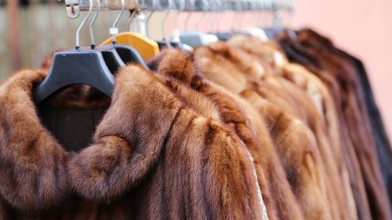 From Milan to Paris, Fashion Brands Fret over Fur