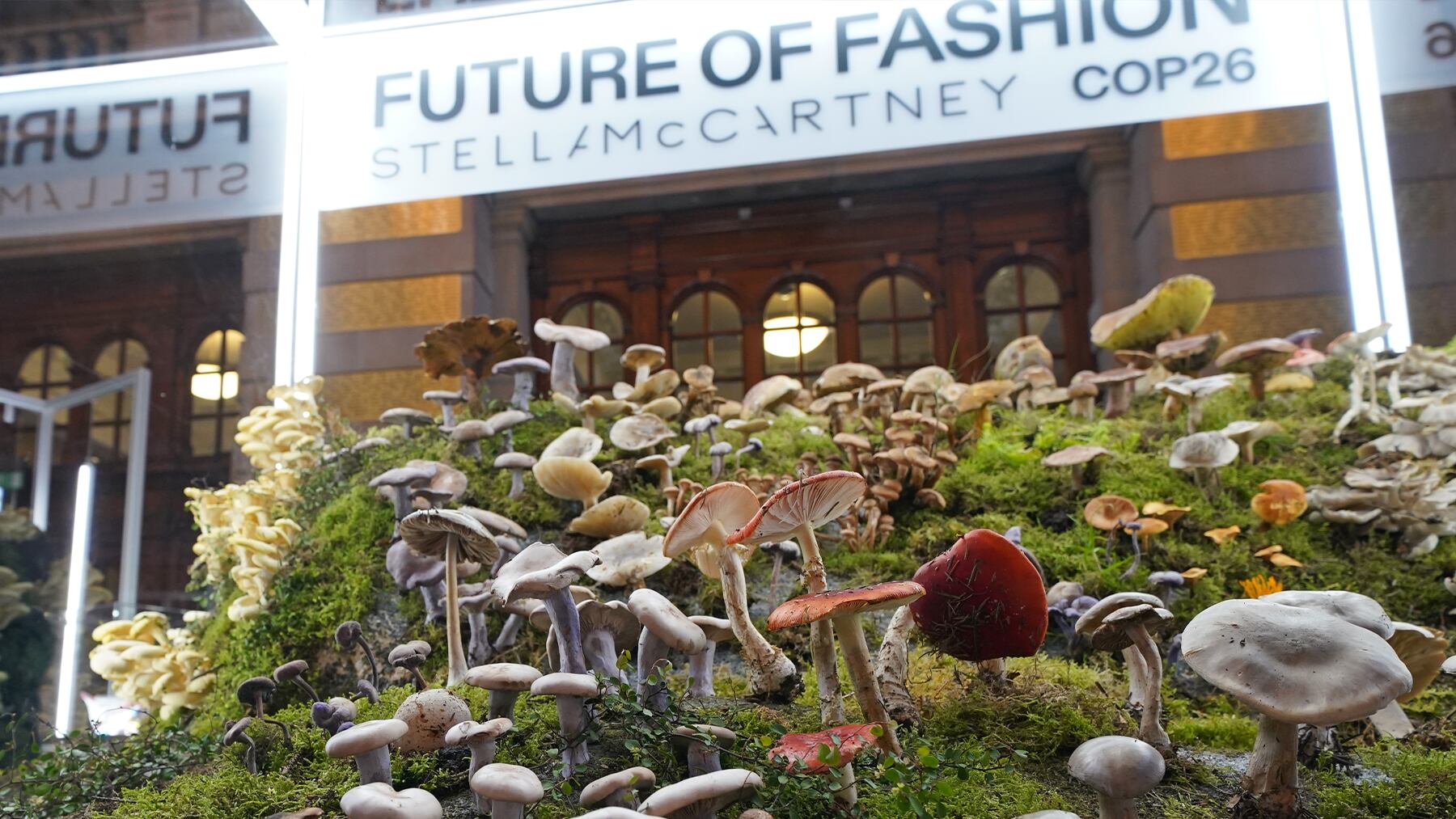 COP26 Stella McCartney mushroom installation