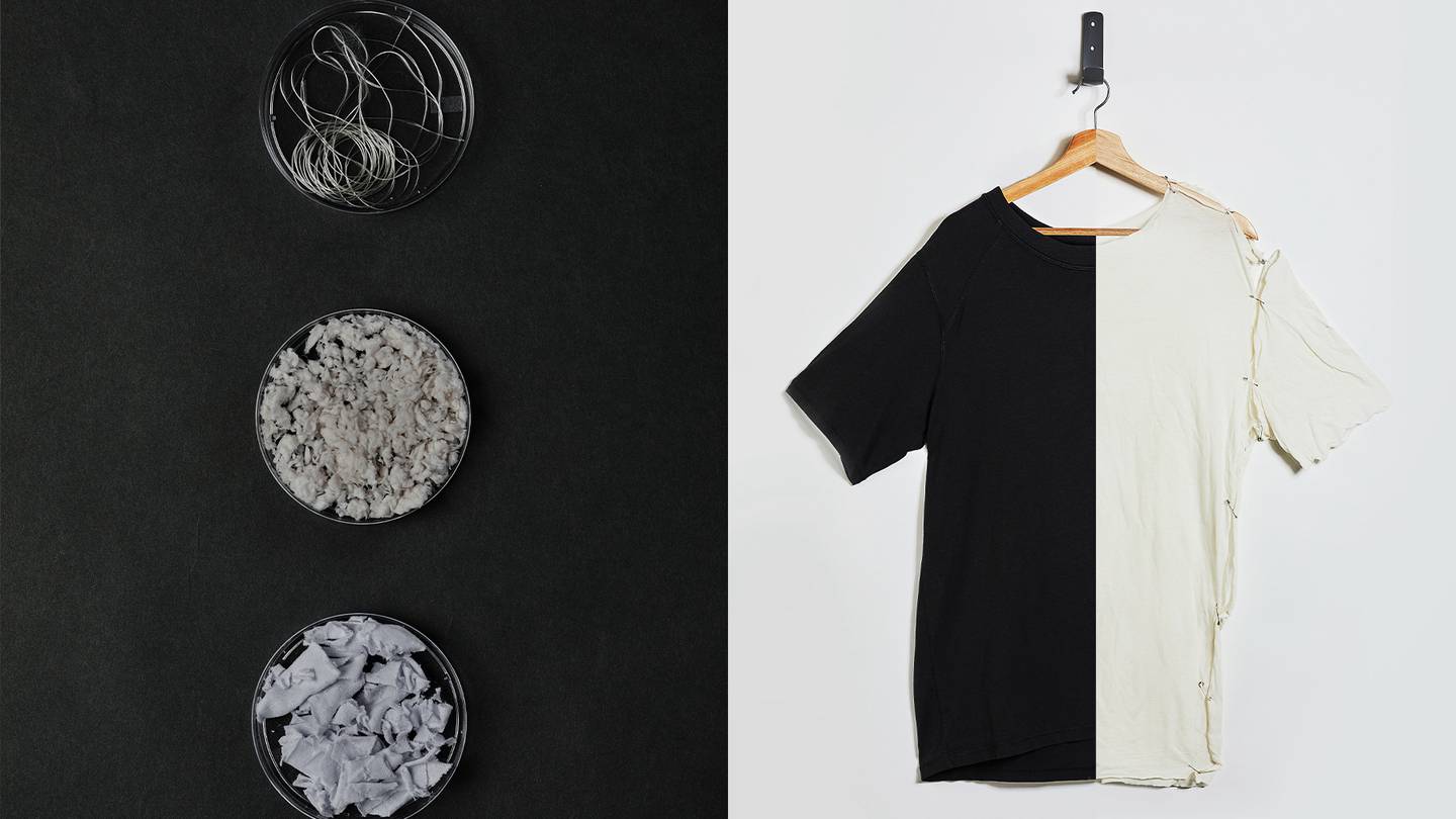 Three petri dishes are shown holding fibres recycled by textile-to-textile recycling company Circ. Next to them is a T-shirt with one black half and one white half. The black half shows what the T-shirt looks like complete, while the white half depicts it deconstructed into component parts.