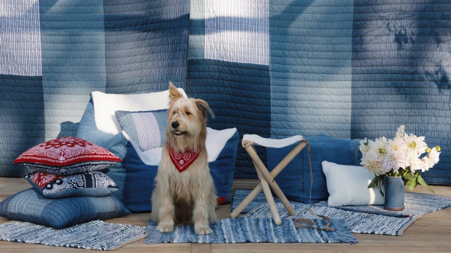 The Levi's x Target collection will include home goods, pet accessories and apparel. Target.