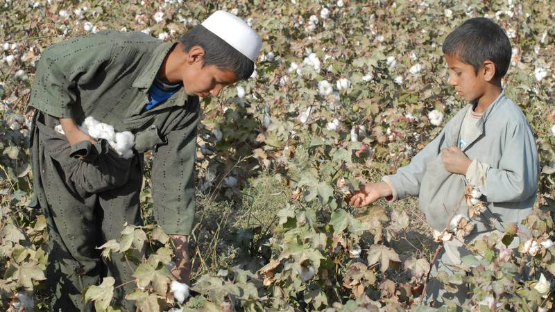 The Fashion Supply Chain Is Still High Risk for Child Labour