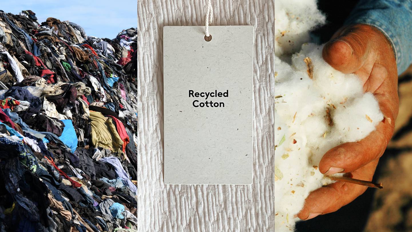 Clothes landfill; clothes tag that says 'Recycled Cotton'; a pair of hands holding raw cotton