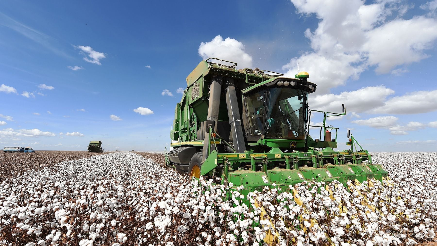 Better Cotton to Expand Due Diligence After Brazil Deforestation Investigation