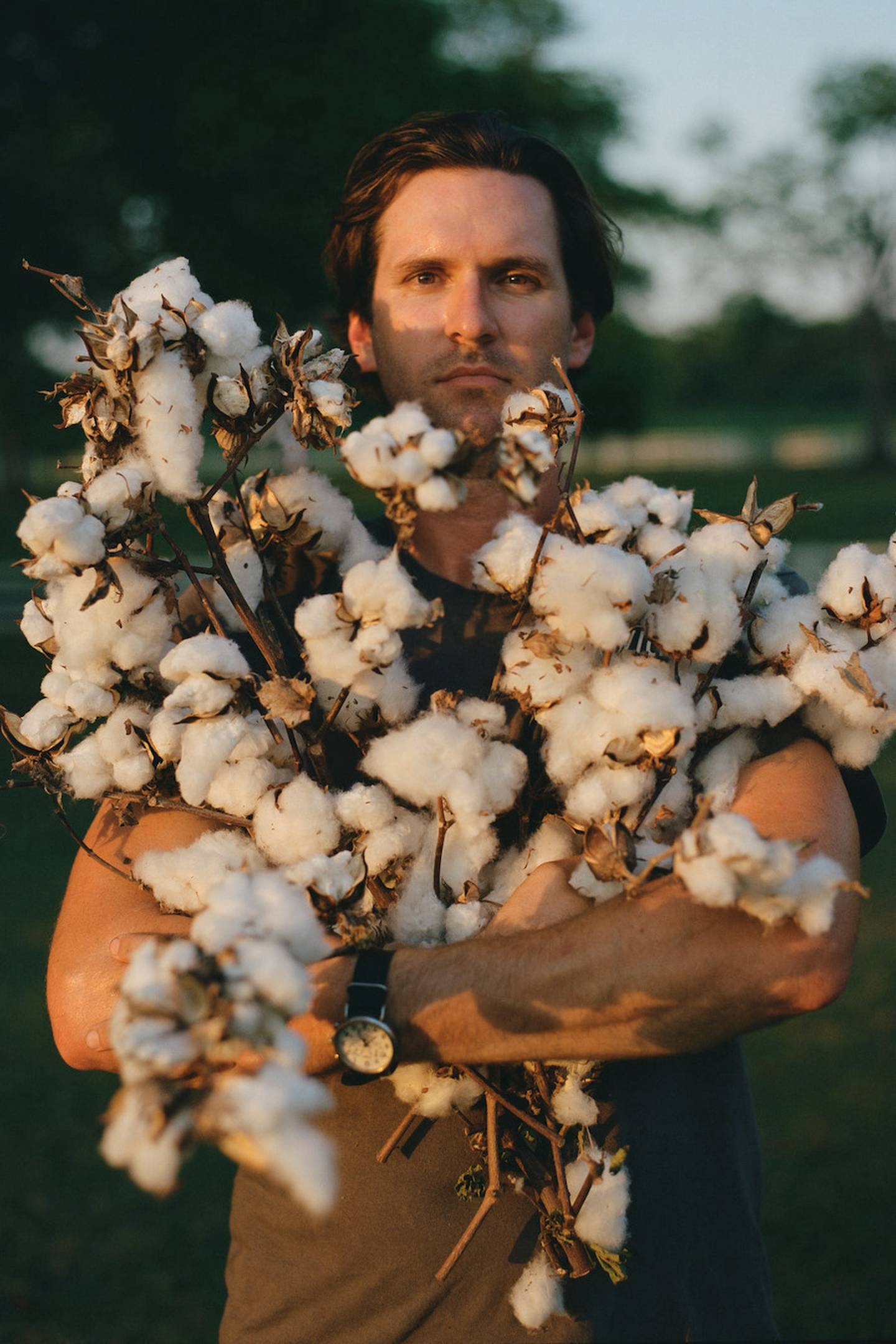 Farmer Marshall Hardwick stands holding an arm of cotton buds.