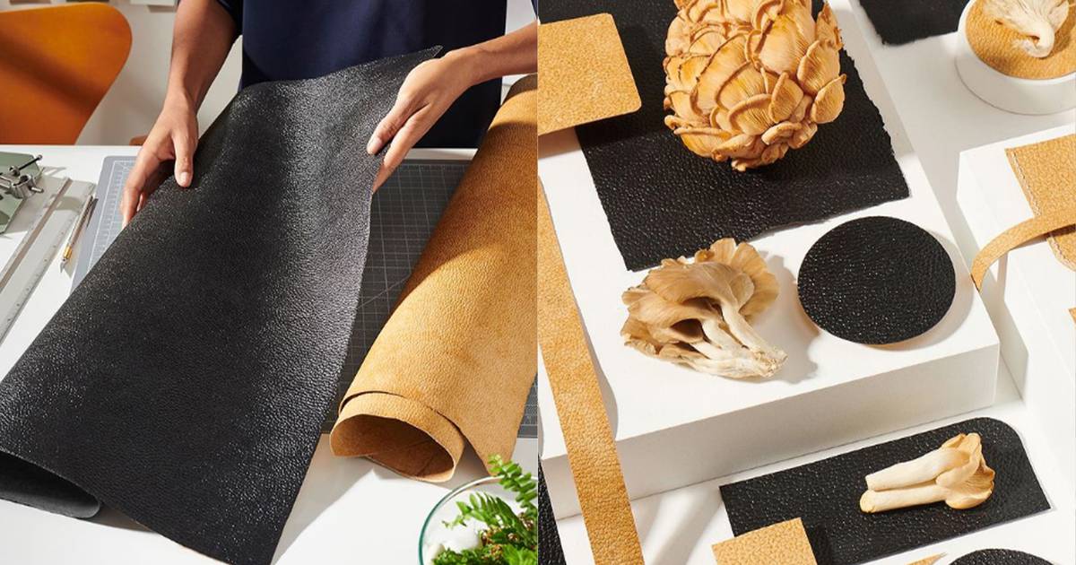 Why Mushroom Leather (and Other New Materials) Are Struggling to Scale