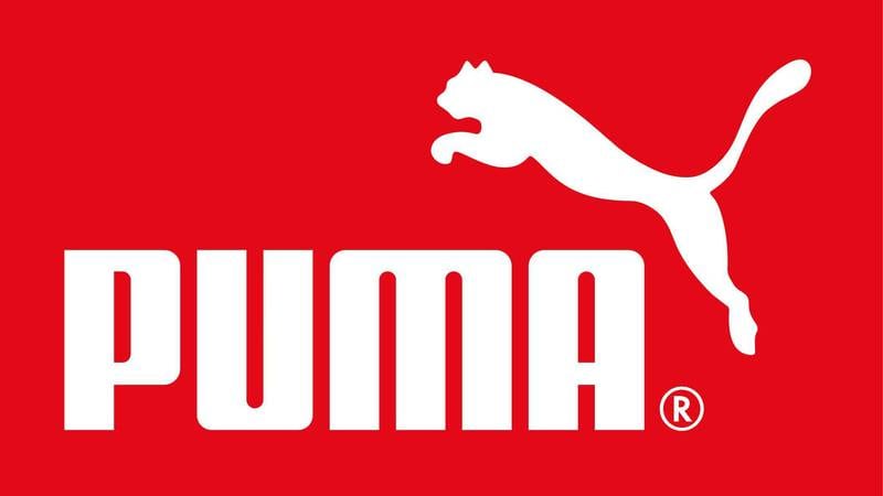 Puma Revises Down 2013 Outlook as Quarterly Profit Disappoints