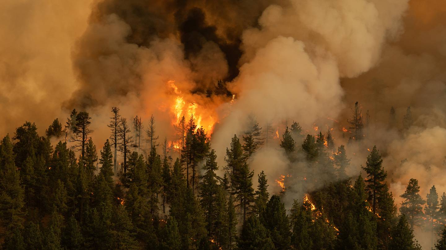A wildfire burns red in a Californian forest in 2021.