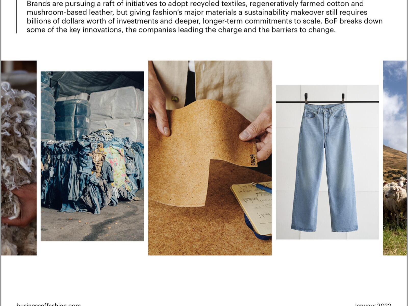 Licht oosten Lucht Fashion's Race for New Materials — Download the Case Study | BoF