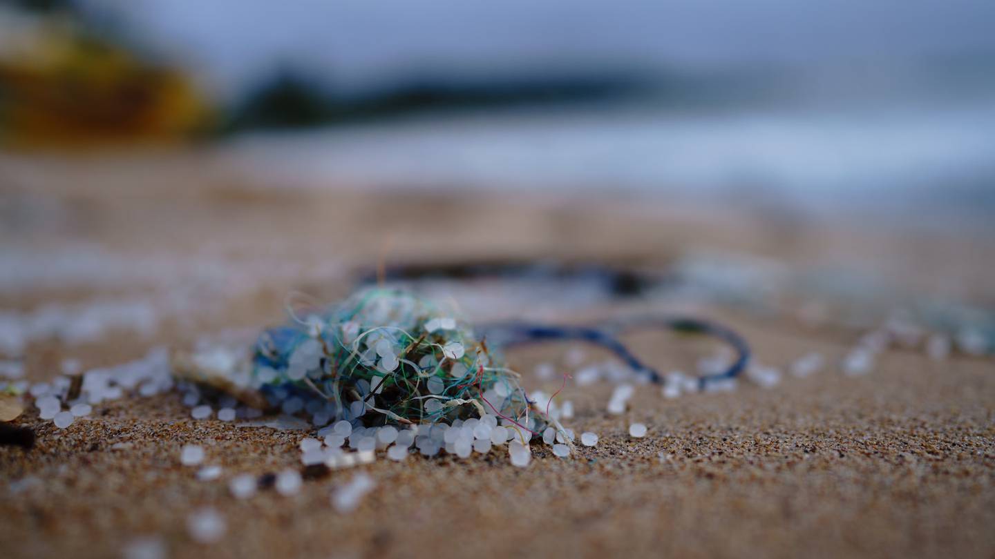 Plastic pellets and threads washed up on the coast of Sri Lanka.
