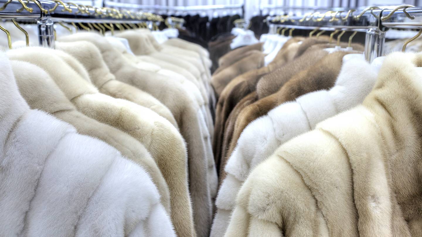 Mink fur coats | Source: Shutterstock