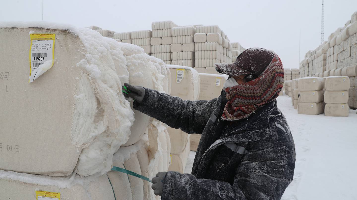 A worker inspects the quality of cotton at an enterprise in Urumqi, Xinjiang.