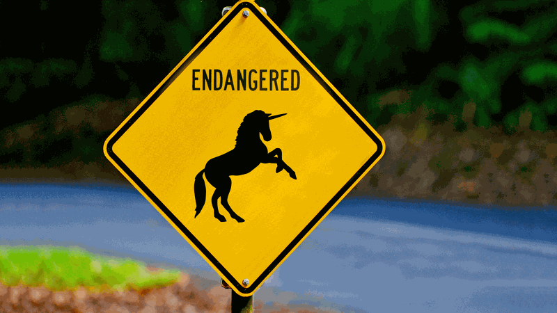 Where Have All the Unicorns Gone? 