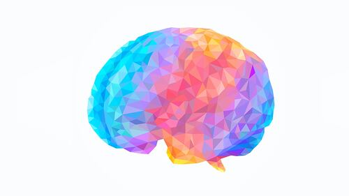 Can Neuroscience Unlock the Luxury Mind?
