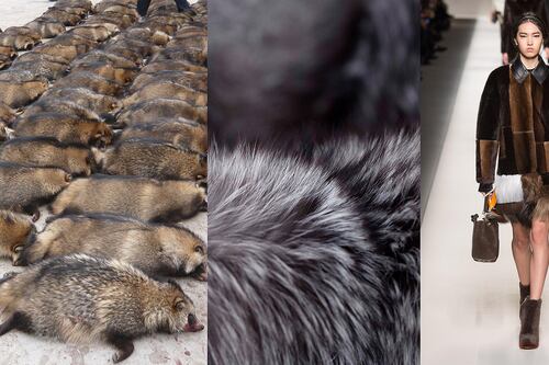 Inside the Growing Global Fur Industry
