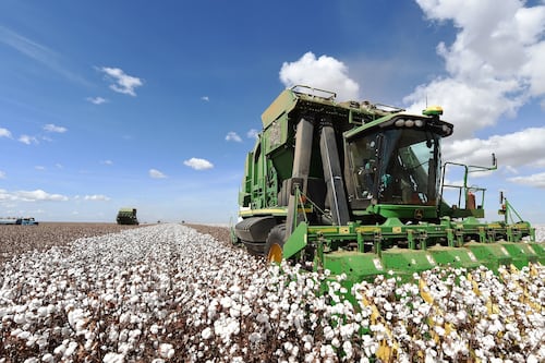 Better Cotton to Expand Due Diligence After Brazil Deforestation Investigation