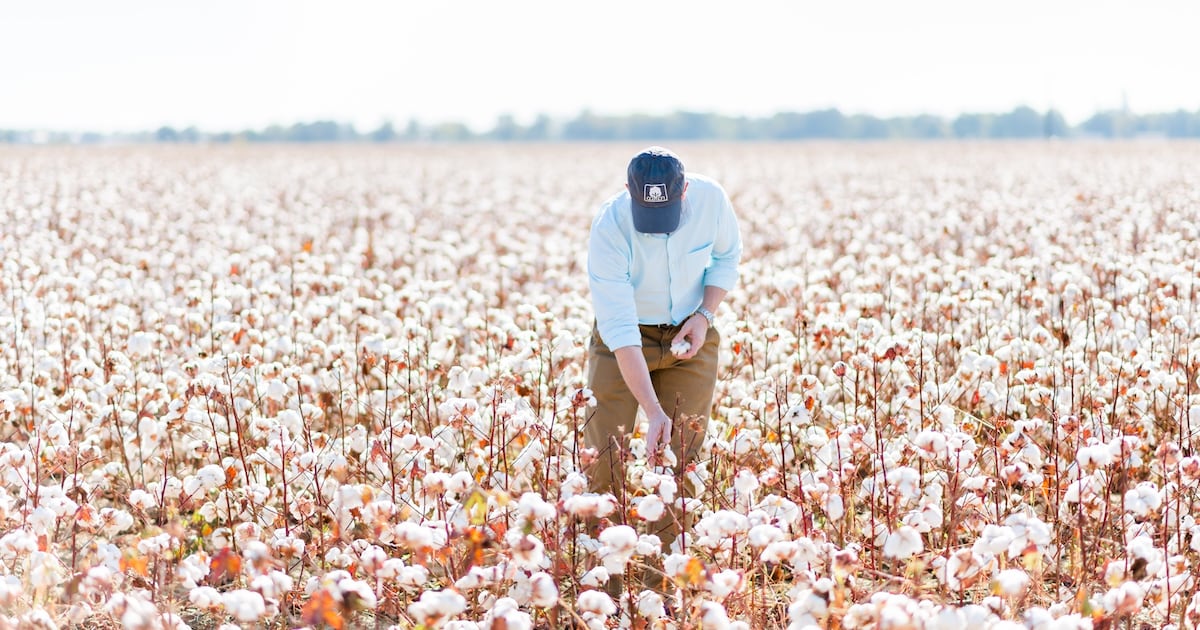 Warum Cotton Incorporated auf eine Rückkehr zu Naturfasern setzt