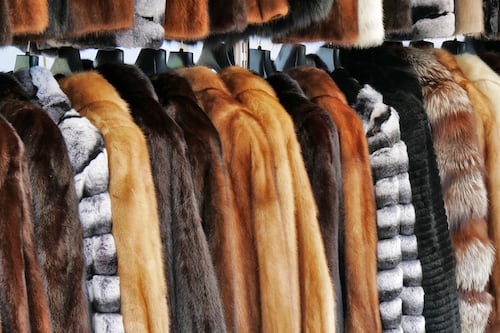 Social Goods | H&M's Graffiti Lawsuit Scandal, Fur Trade in China Powers Ahead