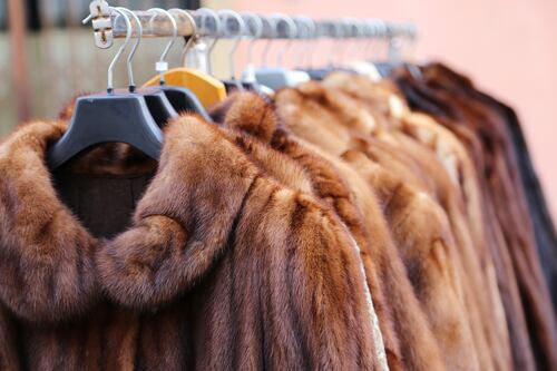 California Bans Fur Products