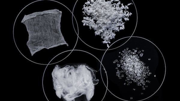 Petri dishes showing the outputs of Circ's recycling process.