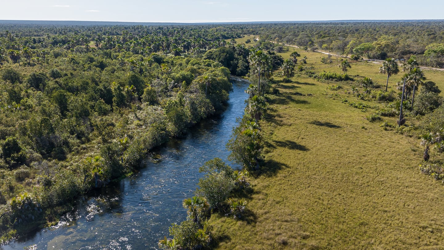 A river cuts between lush vegetation in Brazil's Cerrado savannah.