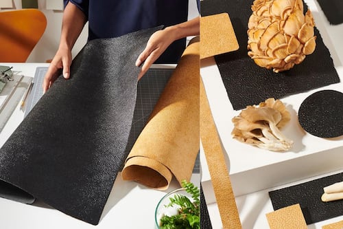 Why Mushroom Leather (and Other New Materials) Are Struggling to Scale