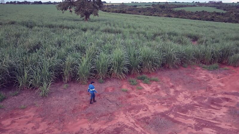 Hyosung's bio-spandex is made using sugarcane sourced from Brazilian regions governed by strict agro-ecological zoning laws designed to support sustainable bio-energy production.