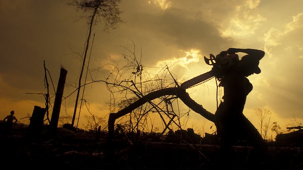 Worker carries his chainsaw at sunset after a hard day of labour felling trees in Brazil.
