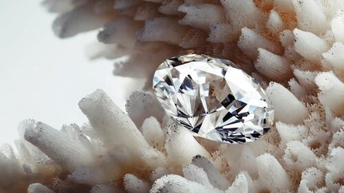 Social Goods | Conflict-Free Diamonds, Is Fast Fashion a Class Issue?