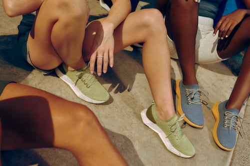 Can a Zero-Carbon Sneaker Make Allbirds Cool Again?  