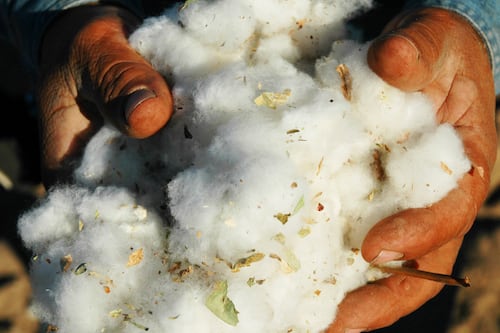 Banned Chinese Cotton Found in 19% of Products, Study Shows