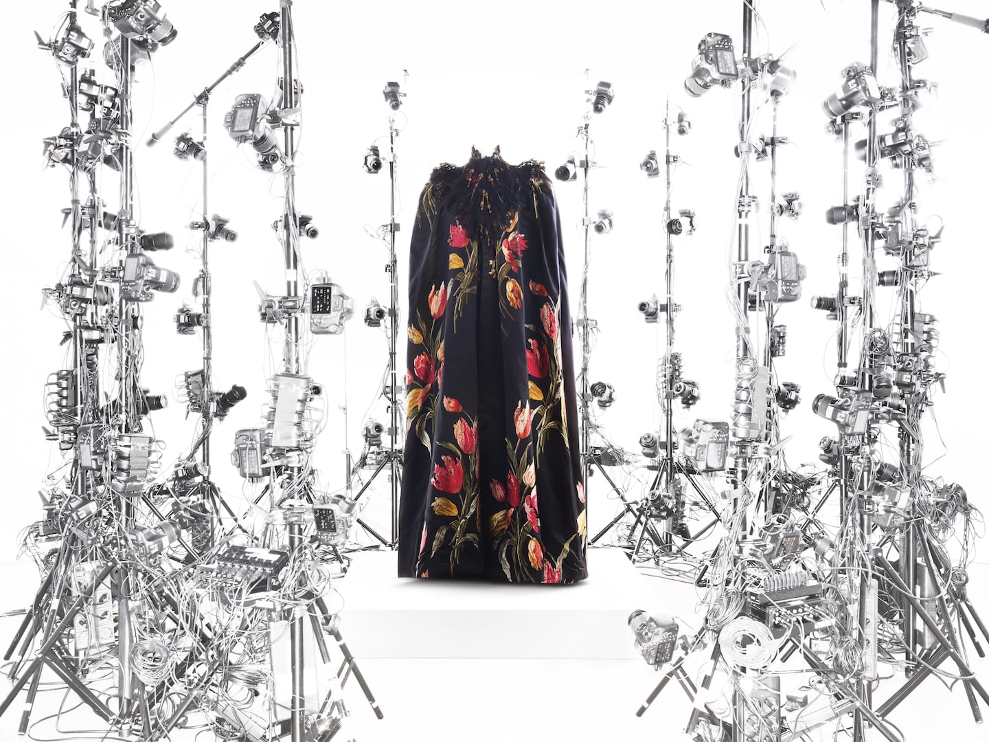 A black floral gown surrounded by lights