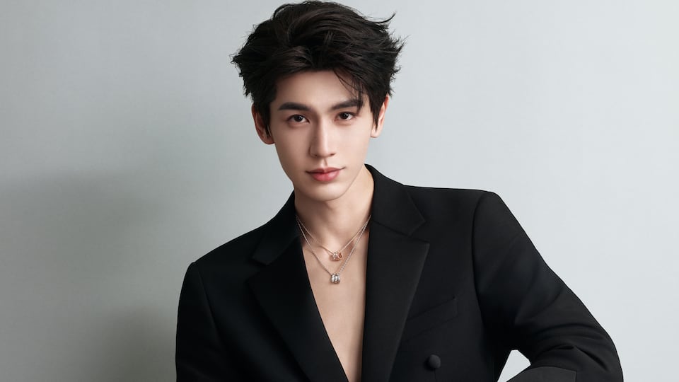 Zhang Linghe, Actor