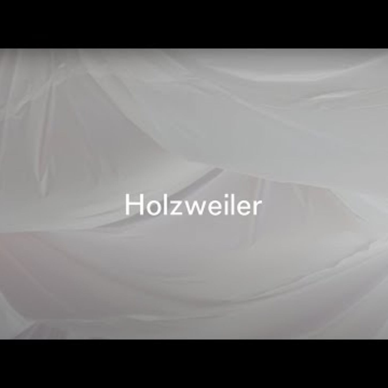 Project-The Holzweiler Story