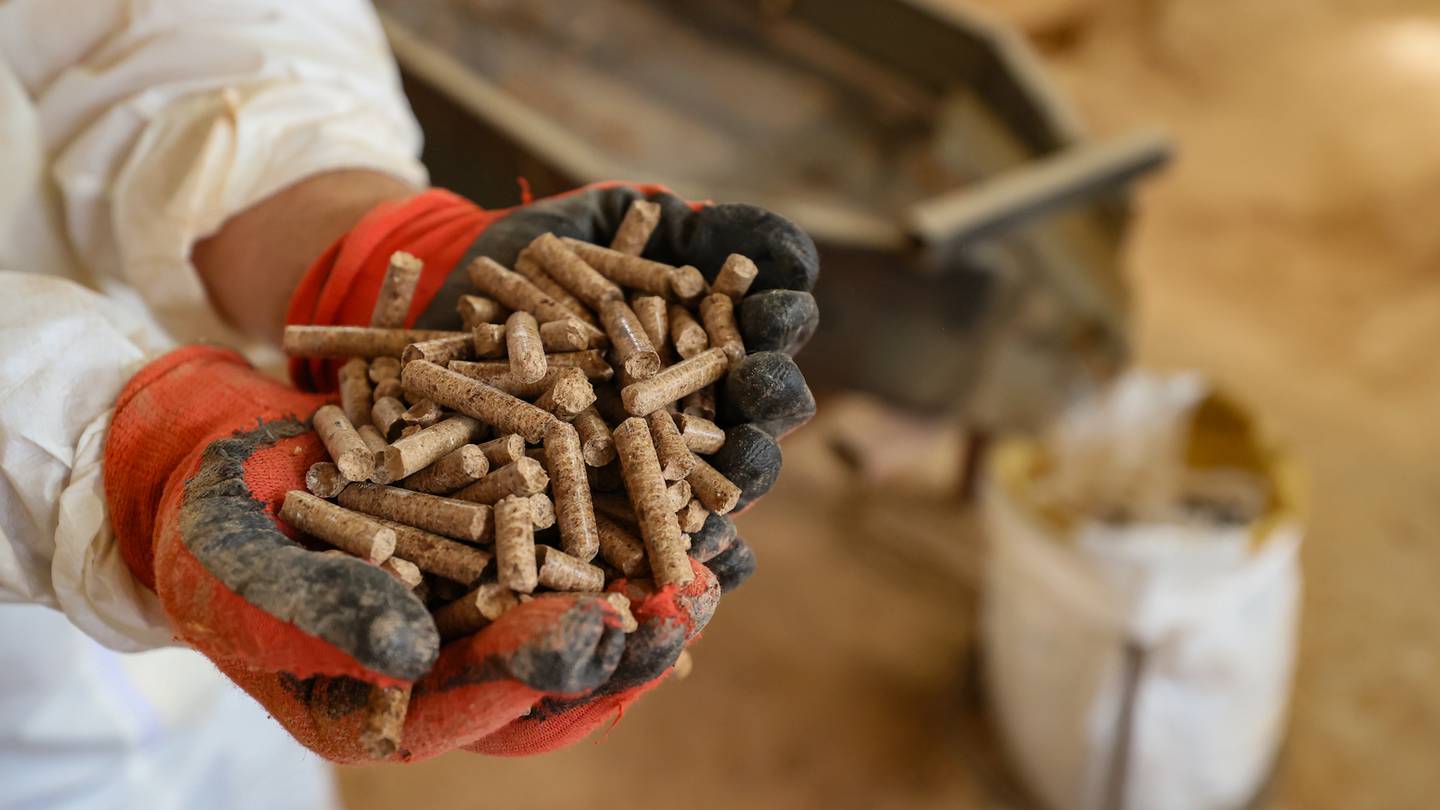 A view of fabrication of biomass fuel type pellet, which is used for heating and obtained by drying and grinding industrial and agricultural wastes and compressing them under high pressure.